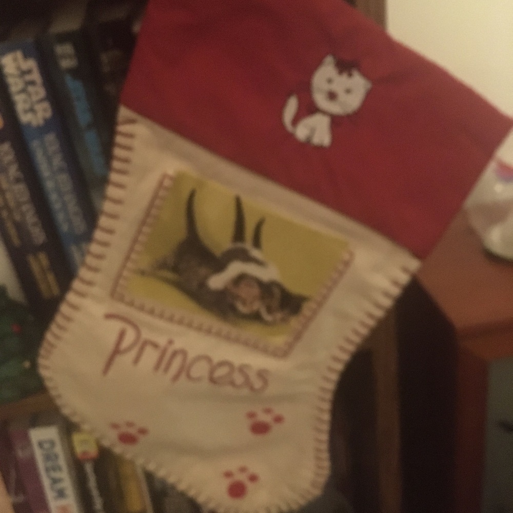 Adorable Cat “Princess” Photo Holder stocking